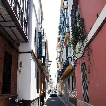 Apartamento Alohamundi Gavidia *